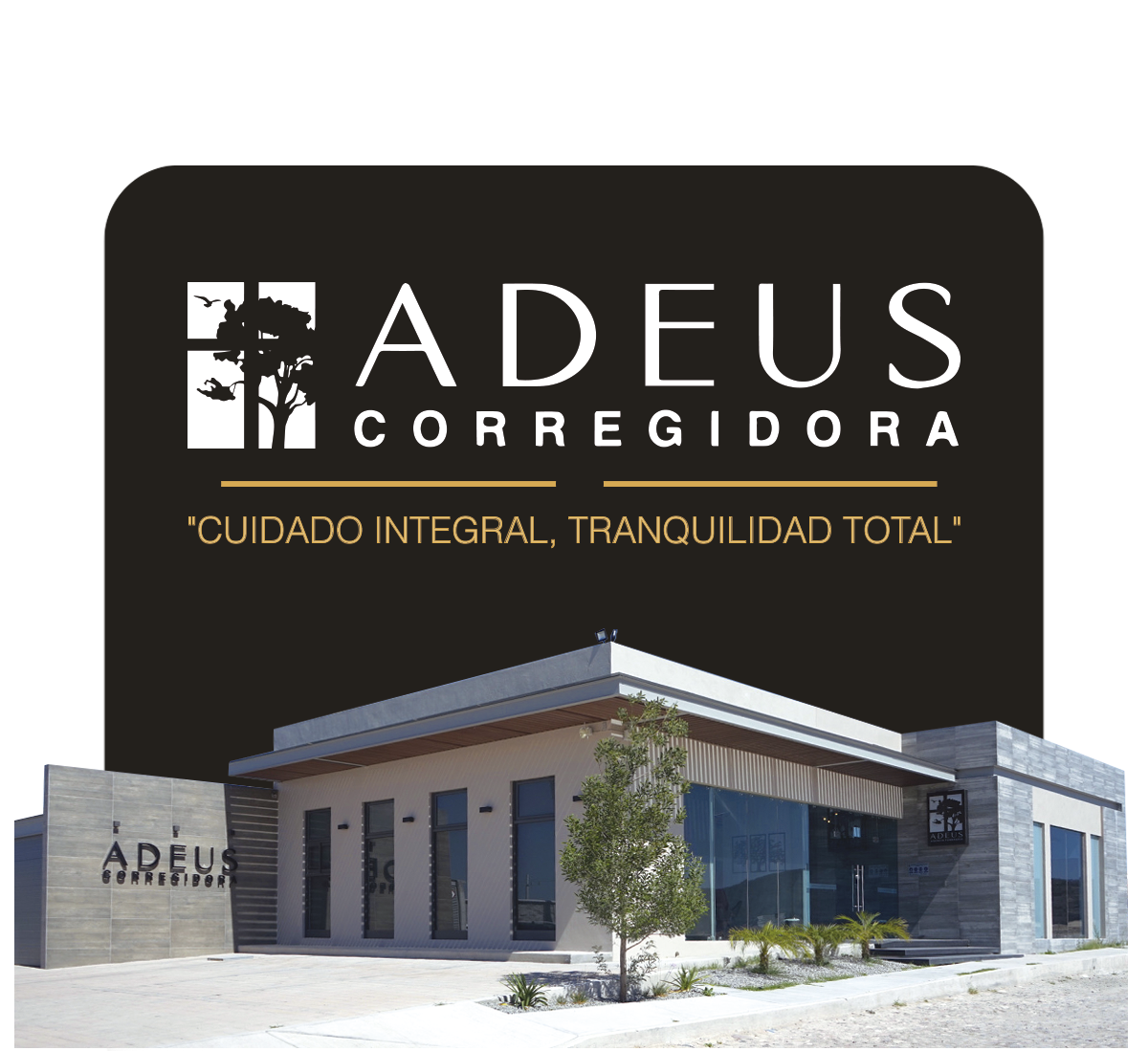 Instalaciones de la funeraria Adeus