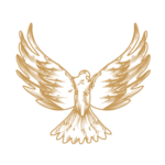 Icono de servicios Adeus